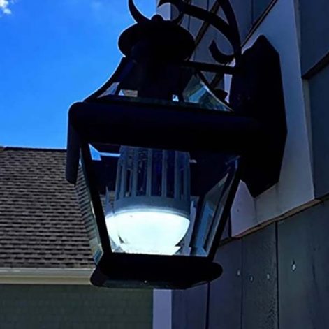 kako se resiti komaraca u dvoristu - plavo svetlo